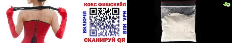 КОКАИН Fish Scale  Купить закладки  Темрюк 