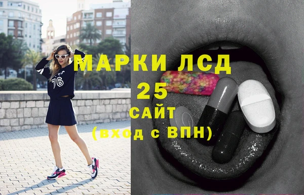 шишки Туринск