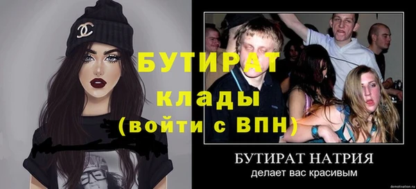 шишки Тында