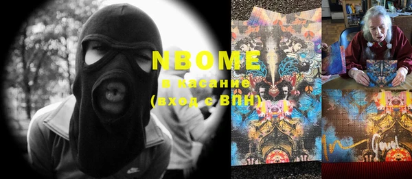 шишки Туринск