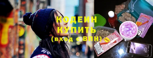 шишки Тутаев