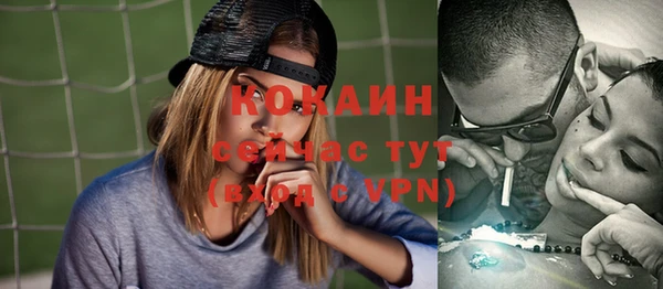 шишки Тутаев